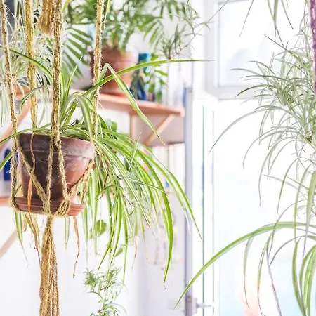 Vandrarhem La Ventana Azul *