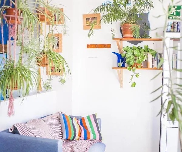 La Ventana Azul 旅馆 *