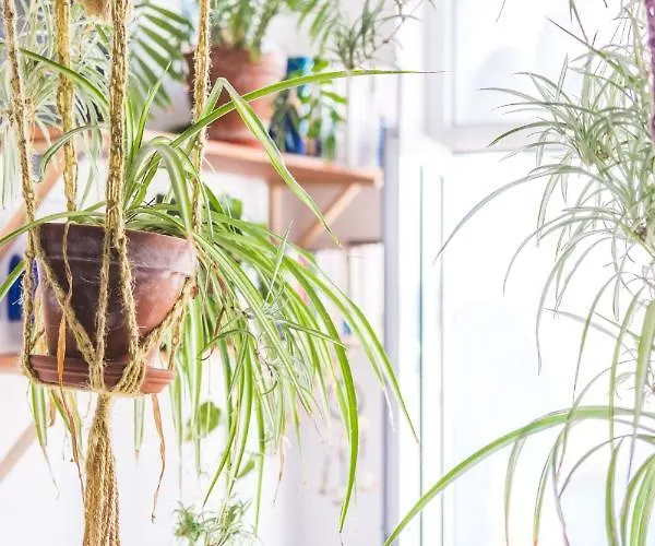 Vandrarhem La Ventana Azul *